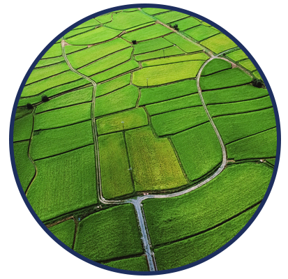 land land